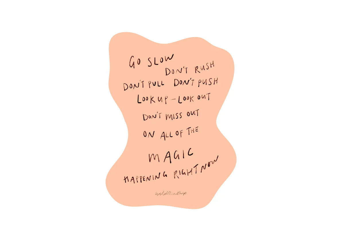 'Go Slow' Sticker